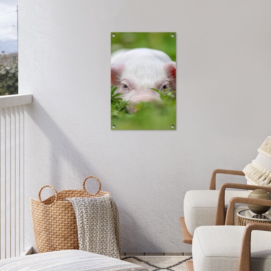 Affiche de jardin - Cochon - Herbe - Animaux - Vert - Jardin - Peinture de jardin - 40x60 cm - Décoration murale - Décoration murale - Toile de jardin - Affiche d'extérieur