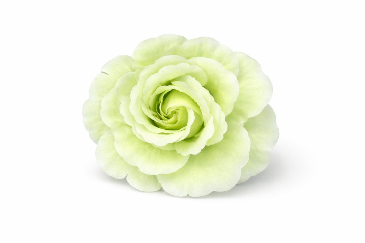 HS Haaraccessoire - Groen - Stijlvolle Dames Accessoire - Dagelijks Te Dragen
