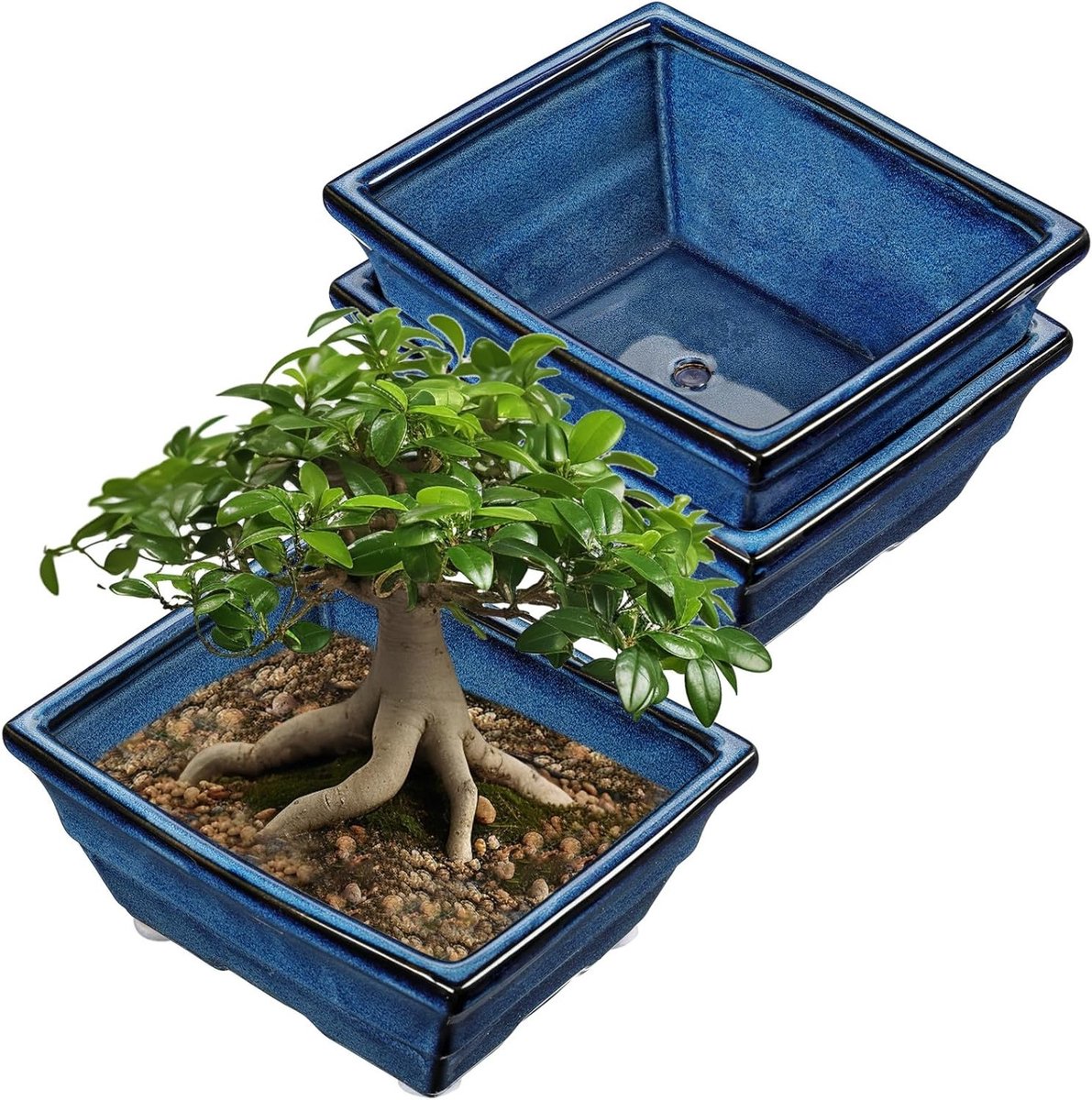 Set van 2 Bonsai Keramische Potten met Afvoergaten voor Binnen- en Buitengebruik, Retro Tuindecoratie, Diameter Opening 25.5 cm, Geschikt voor Japanse Bonsai Planten