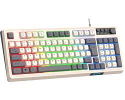 Budget Mechanisch Gaming Keyboard – White/Gray - Compact 98% Layout – RGB Verlichting – Bedraad