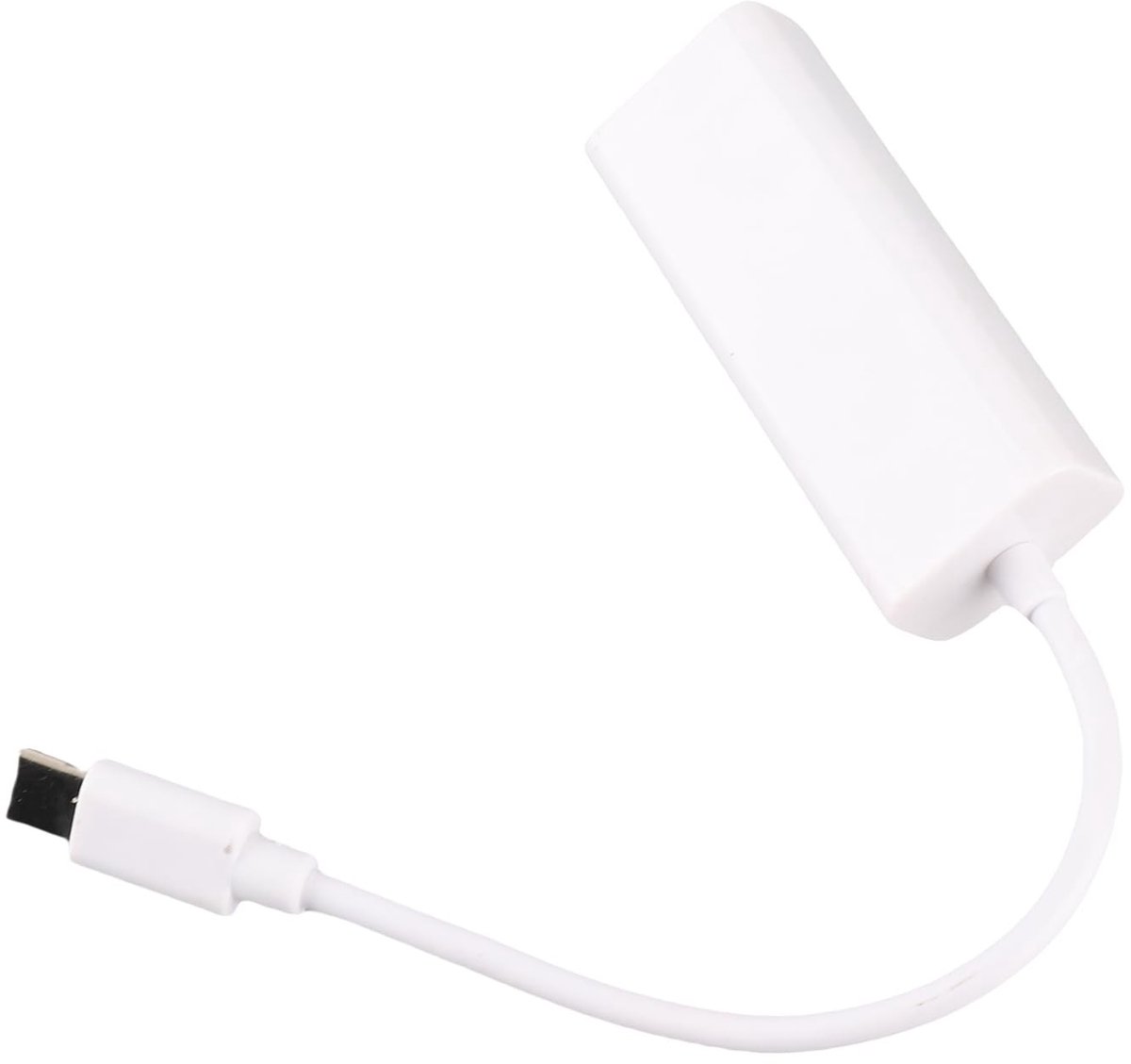 Dailygoods - Draagbare Type C naar RJ45 Adapter - 100 Mbps Ethernet LAN - Compact formaat - USB 3.1 Converter - Geschikt voor computer en laptop - Ide