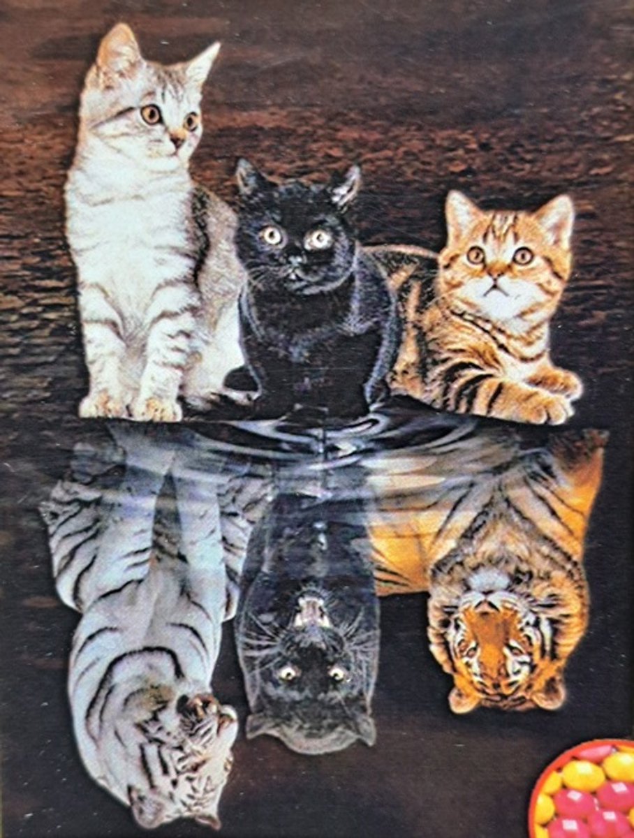 Denza - Diamond painting 40 x 50 cm poes kat - leeuw - panter uniek volledige bedrukking ronde steentjes direct leverbaar leeuw - tijger - roofdier - dier -