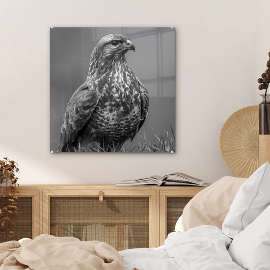 MuchoWow® Peinture sur verre 50x50 cm - Peinture acrylique sur verre - Une buse est assise dans un champ - noir et blanc - Photo sur verre - Peintures