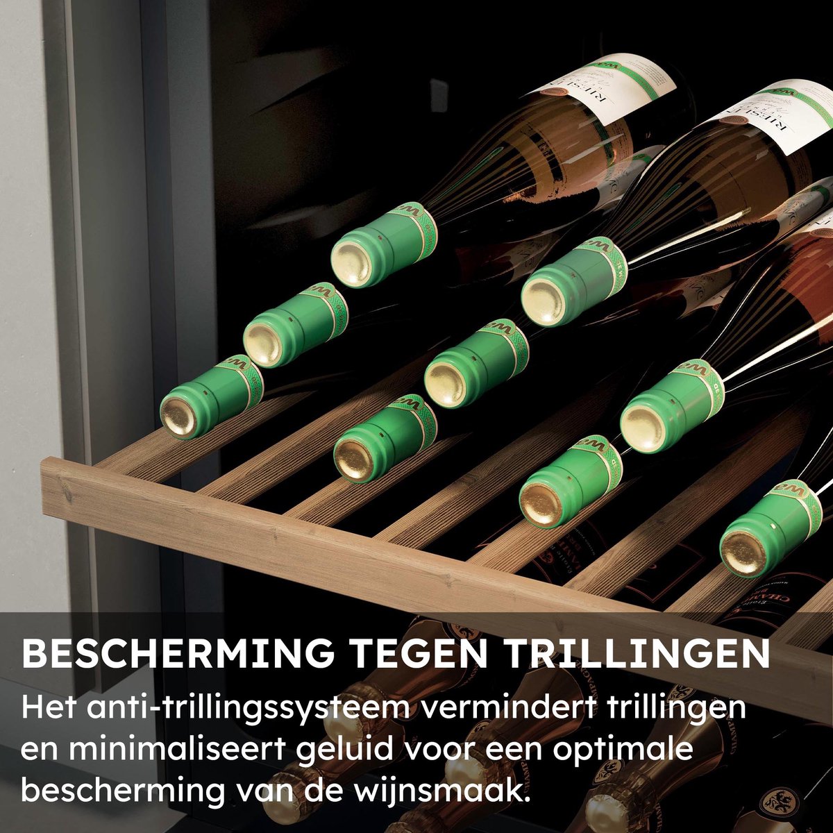 Haier HWS32GDG - Wijnkoelkast - 32 flessen - Energieklasse G - afbeelding 3