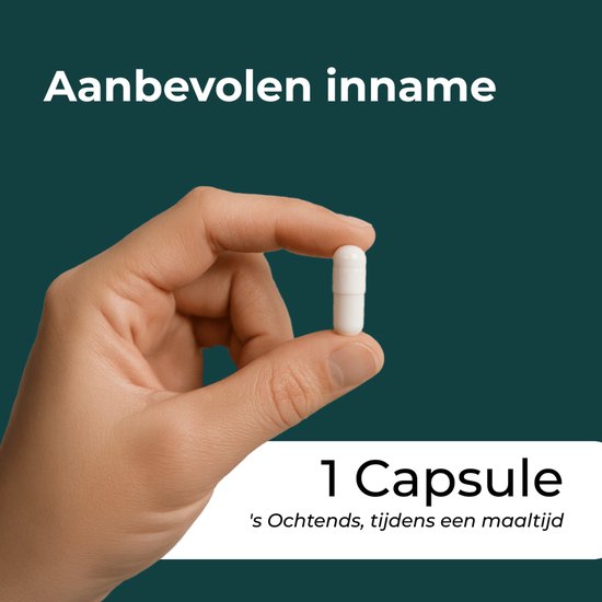 Een hand houdt een enkele witte capsule vast. Tekst '1 Capsule 's Ochtends, tijdens een maaltijd'.
