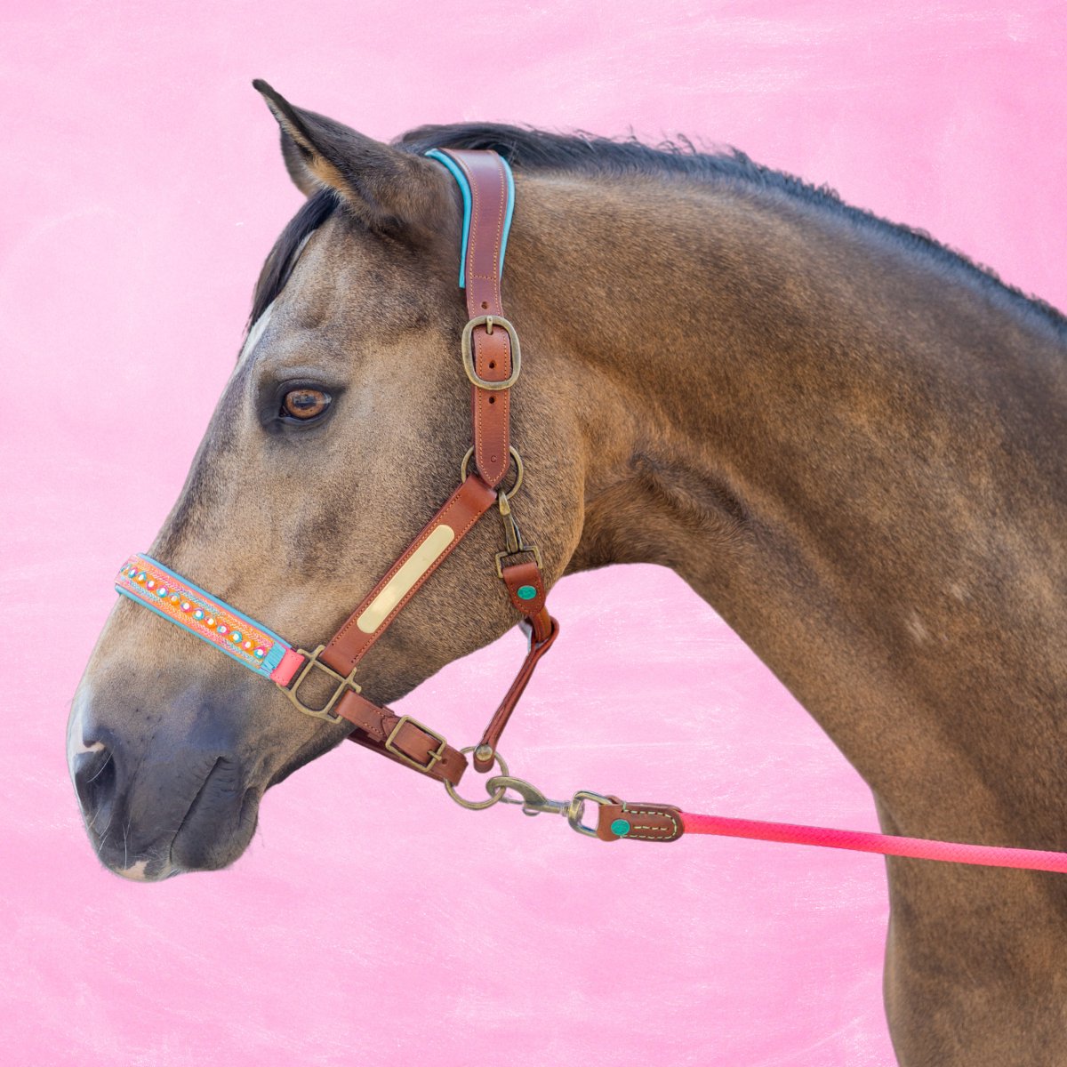 Indian Summer Paardenhalster - Cob