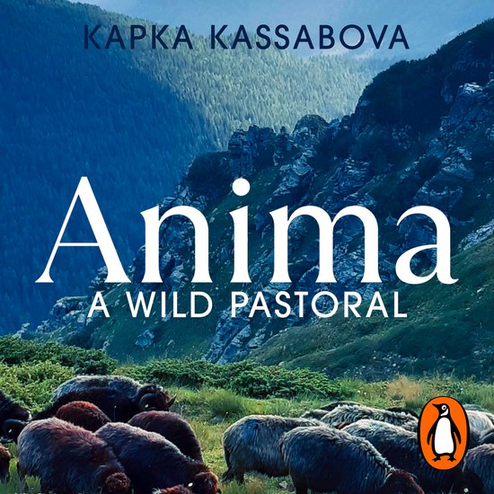 Anima - cover