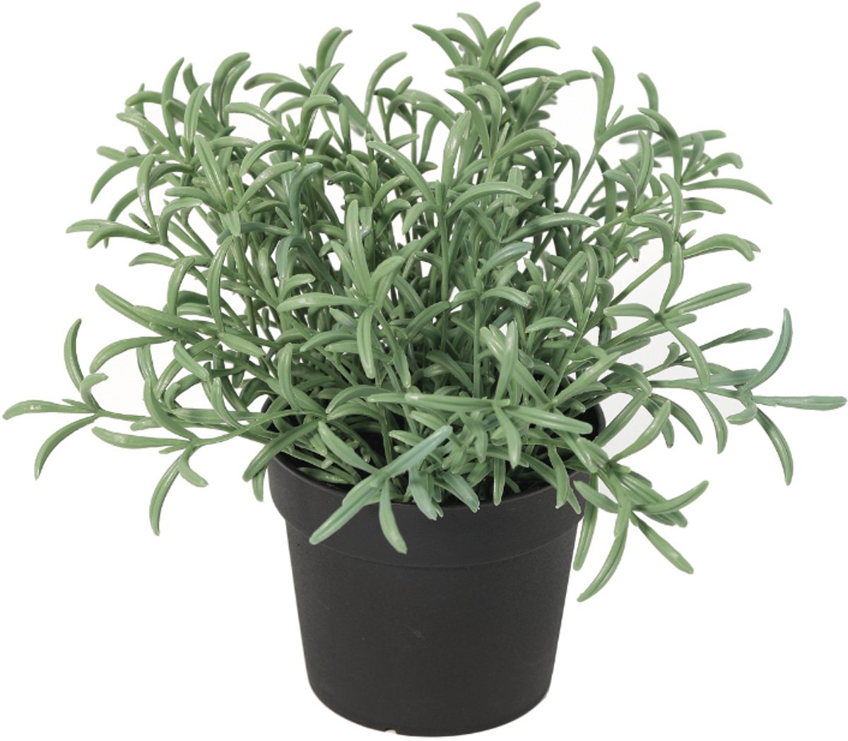 Trendyplants - Kunst Helichrysum Italicum - Kruidplant - Kunstplant - Hoogte 18cm - Potmaat Ø9cm