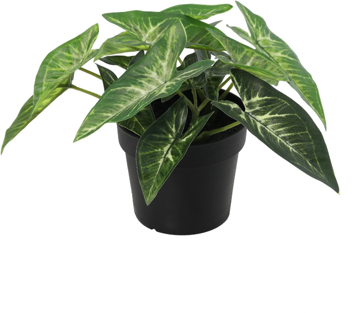 Trendyplants - Kunst Syngonium - Pijlplant - Kunstplant - Hoogte 15cm - Potmaat Ø9cm