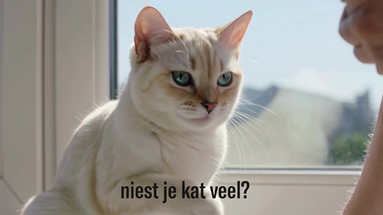 Sensipharm® Sneeze Aid - Niesziekte Kat - Bij Niezen, Verkoudheid & Rode Oogjes - 90 Tabl.
