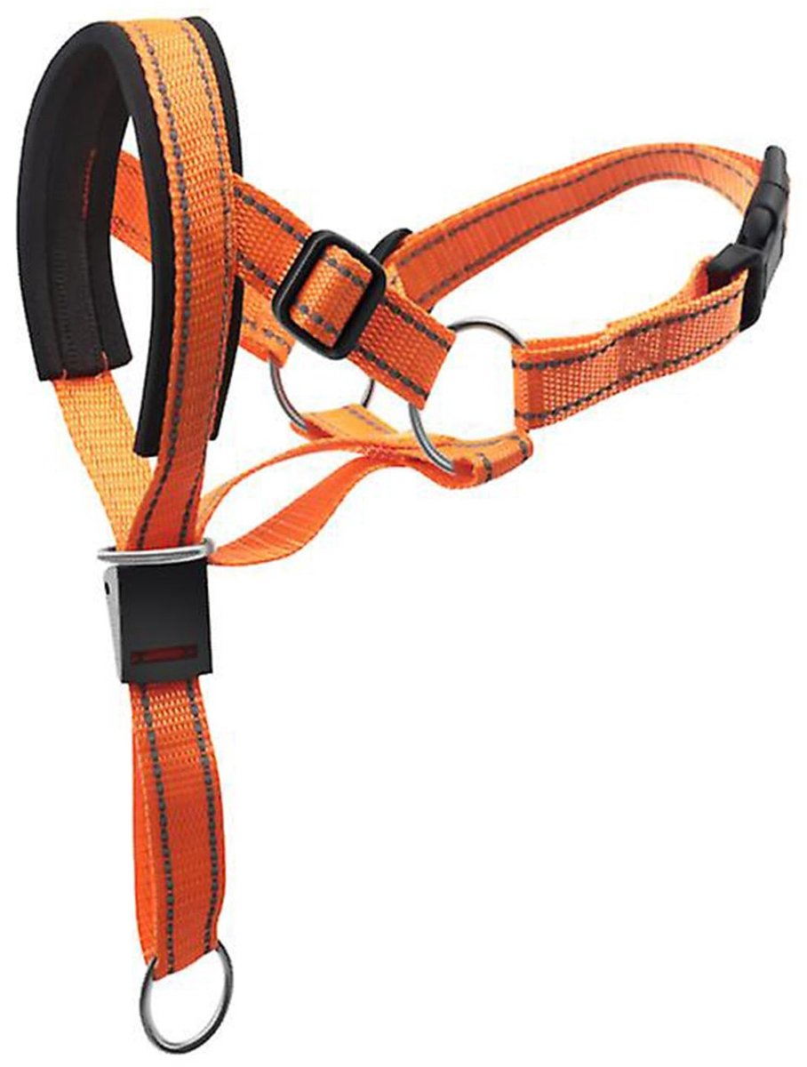 Dailygoods- Halsband Verstelbaar - Halterhalsband - Nylon - Comfortabel - Snelsluiting - Geschikt voor middelgrote/grote honden - Hondentuig
