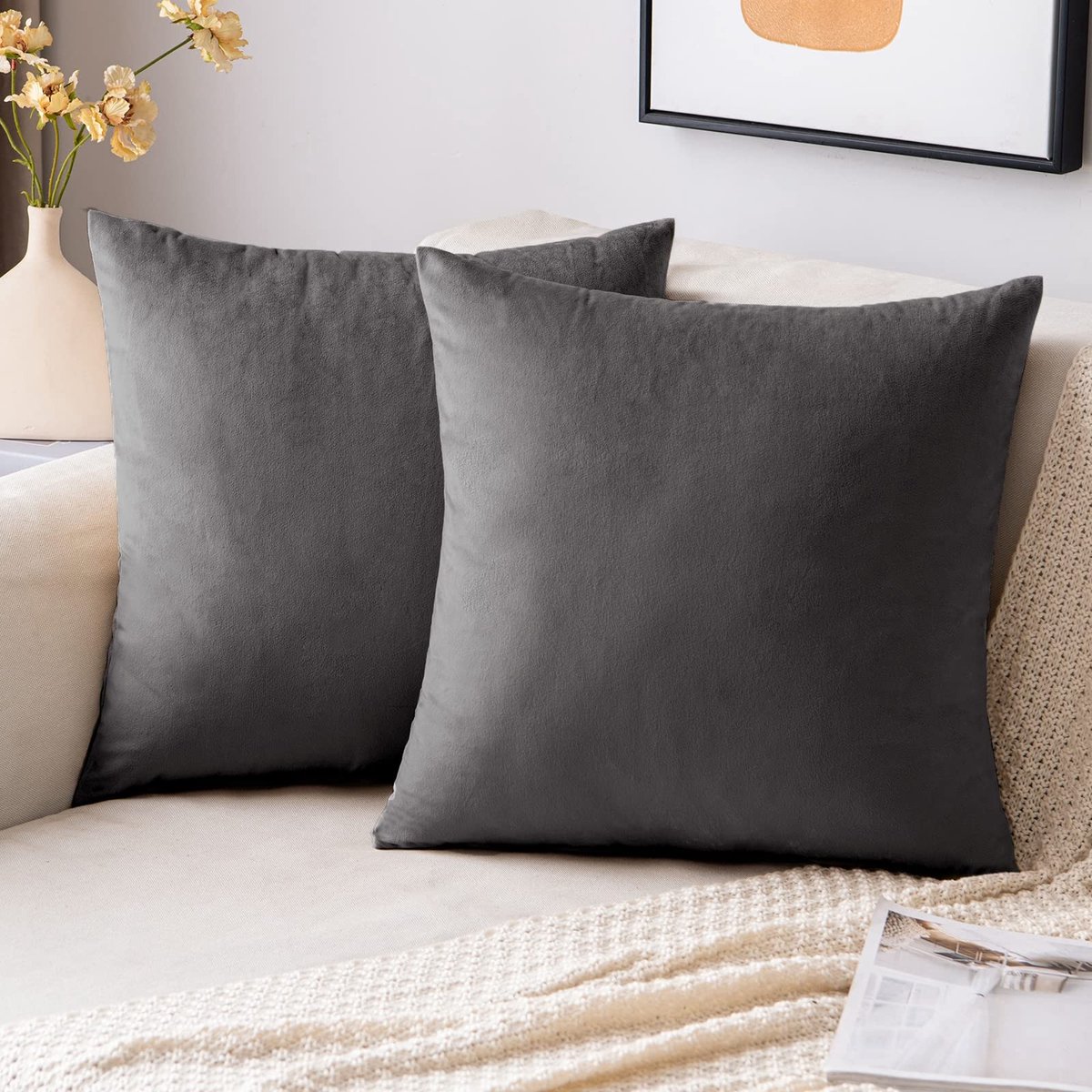 BRENZOOS- Kussenslopen set van 2 - Fluweel 40x40 cm - Houtskoolkleurig - Decoratief - Zacht en milieuvriendelijk - Verborgen rits - Kussenhoes