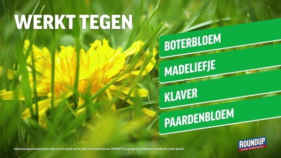 Roundup Gazon Onkruidvrij 1kg + Totaal Onkruidvrij Spray 1L - Onkruidverdelger - Voor Gazon én Bestrating - Onkruidverwijderaars zonder glyfosaat — afbeelding 4