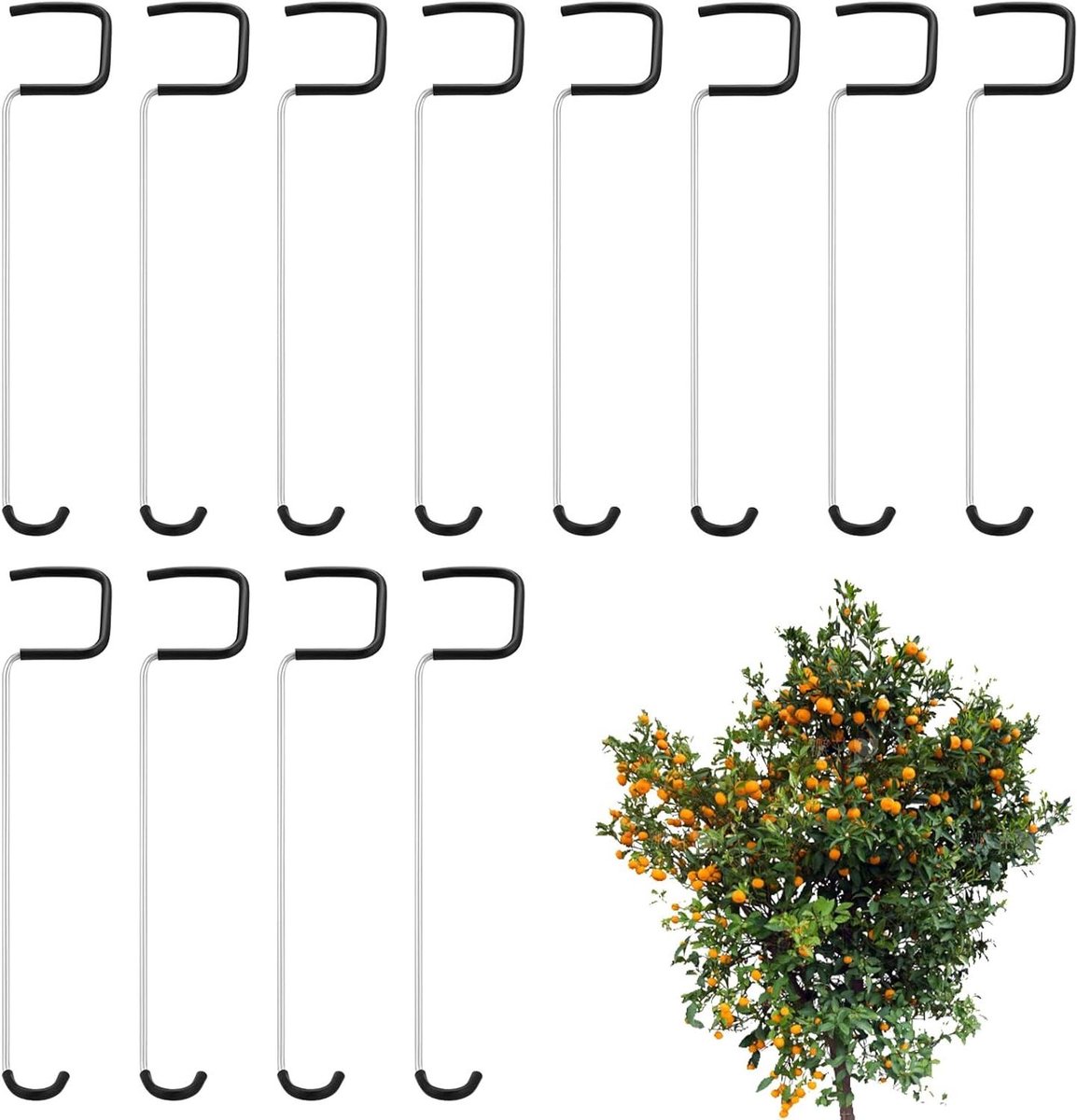 Tak Spreider - Boom Buig Tool - Fruitbomen Vormgeven - Duurzame Constructie - 12 Stuks - Zwart