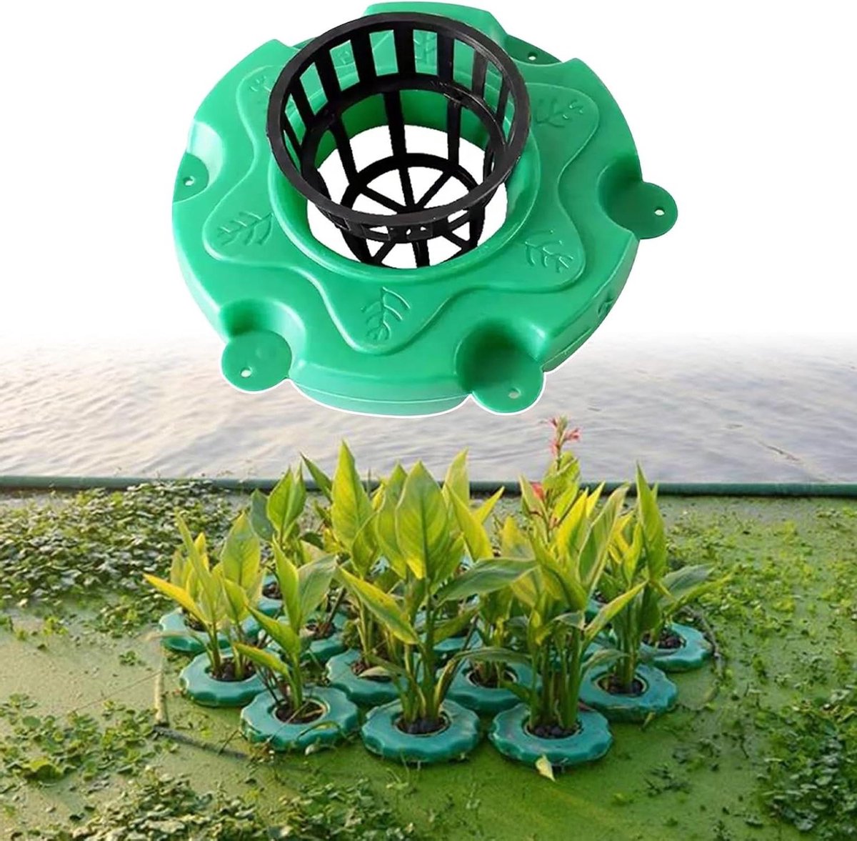Drijvende mand - Vijver eiland - Waterplanten kweken - Flexibele indeling - 33 cm diameter - Groen