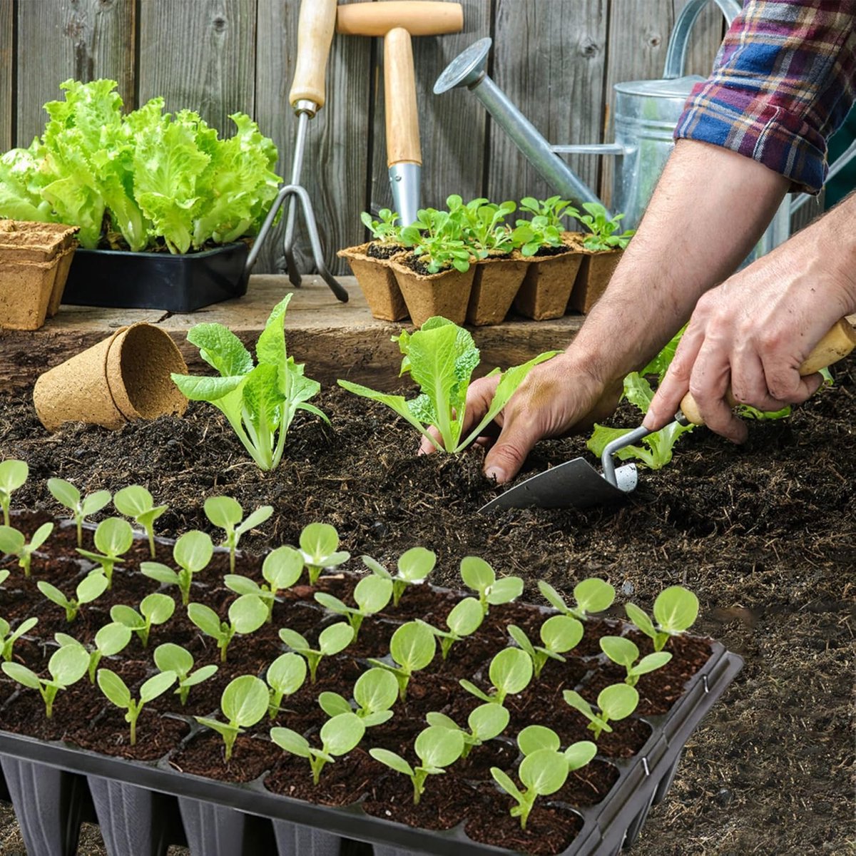 Zaaitrays - Plantenbakjes - Zaad Ontkiemen - Extra Diepe Cellen - 20 Stuks 54cm - Zwart