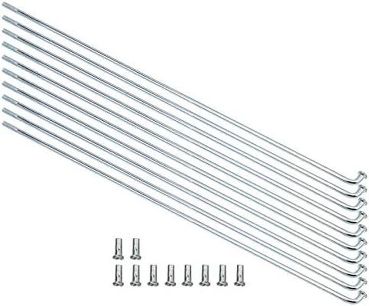 Fiets Spaak Set - Wiel Onderdelen - Wiel Reparatie - Roestbestendig Staal - 10 Stuks - Zilver