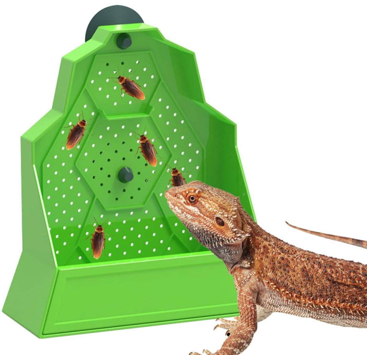 Dailygoods- Voerbak Verstelbaar - Hoekvoerbak - Wandmontage - Ontsnappingspreventie - Zuignap - Geschikt voor reptielen - Reptielenvoer