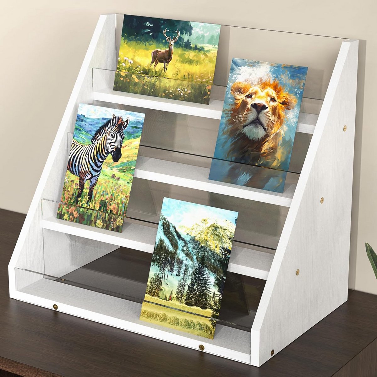 Kaart Display Stand - Fotorek Ansichtkaart - Decoratie Presentatie - Bamboe Acryl Combinatie - 4 Niveaus - Wit