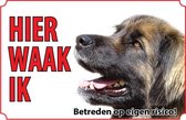 Bord - Hond-Leonberger