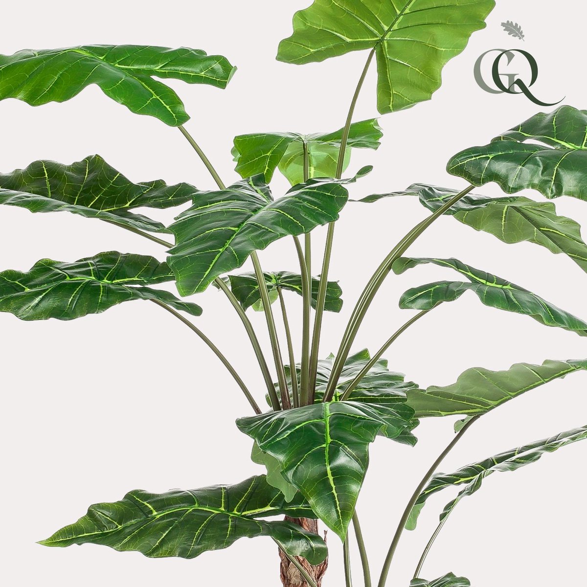 Green Harmony Plants Kunstplant - Alocasia - Olifantsoor - 180 cm Bruin
