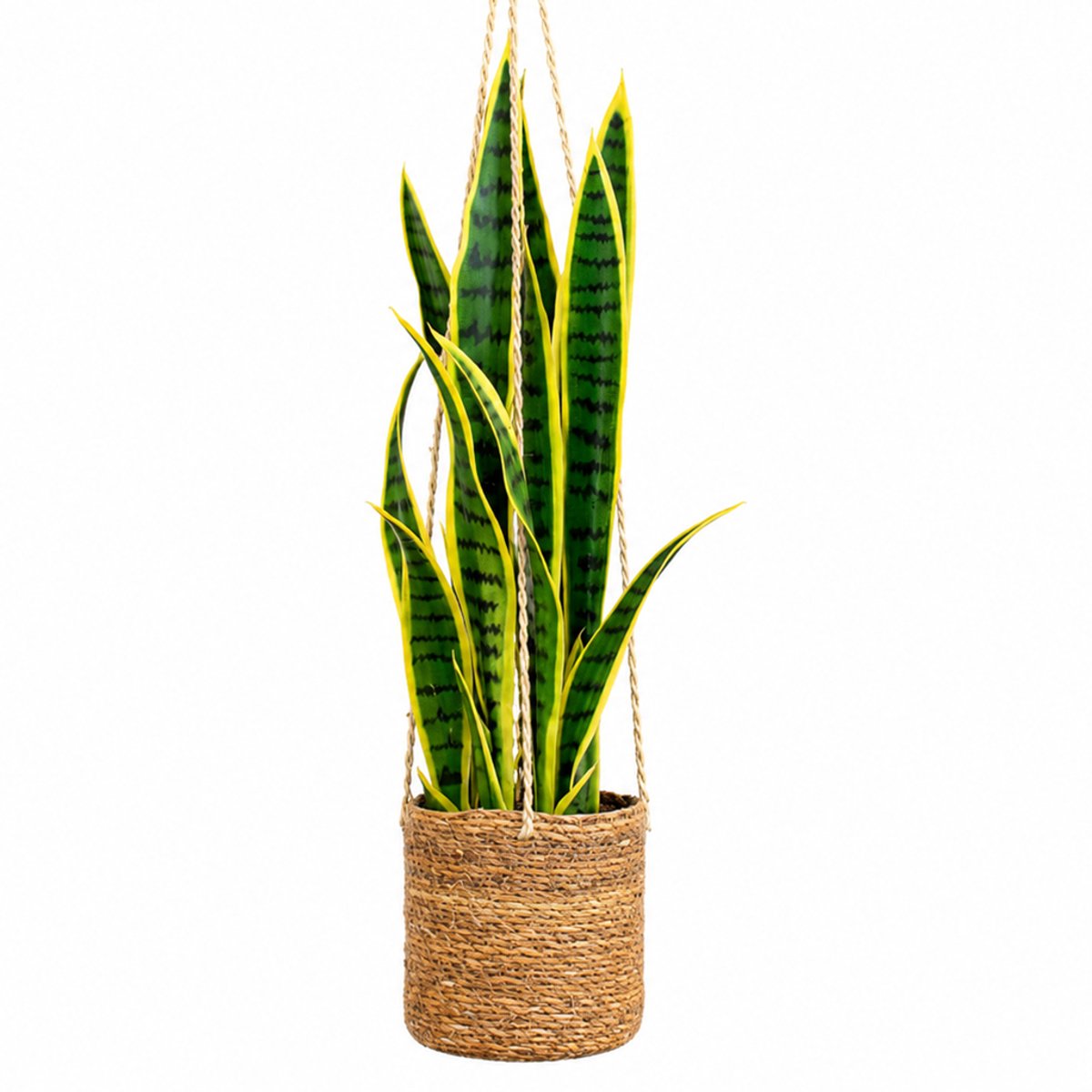 HTT Decorations Kunstplant Sansevieria in hangmand naturel L100cm