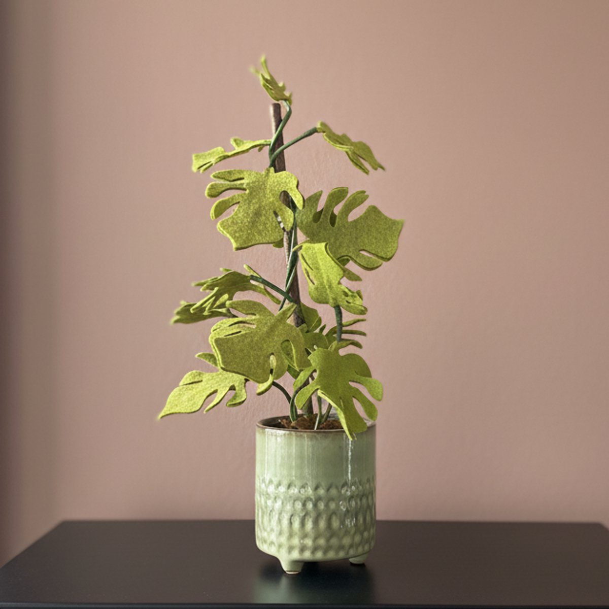 DIY Pakket - Viltdeco - Vilt planten - Hobbypakket - Monstera - Plant van vilt maken