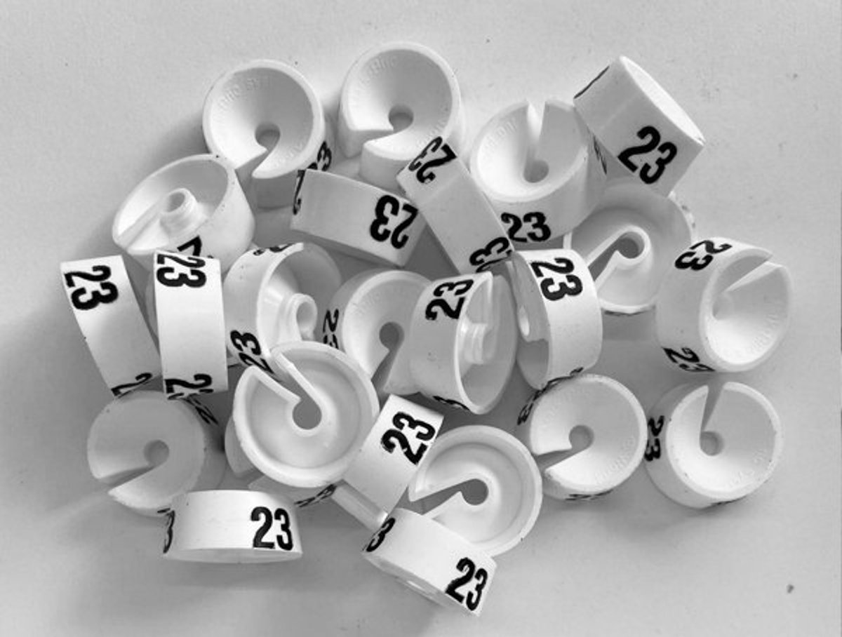 Bleijenberg Maatdopje maat 23 wit - Maataanduiding voor kledinghangers per 25 stuks - Maatringetje Ø 20 mm - Kledinghangers - Kleerhanger - Kapstok - Mark-Brics - wisersizer