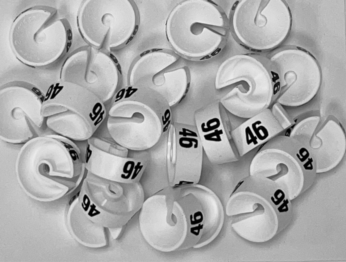 Bleijenberg Maatdopje maat 46 wit - Maataanduiding voor kledinghangers per 25 stuks - Maatringetje Ø 20 mm - Kledinghangers - Kleerhanger - Kapstok - Mark-Brics - wisersizer