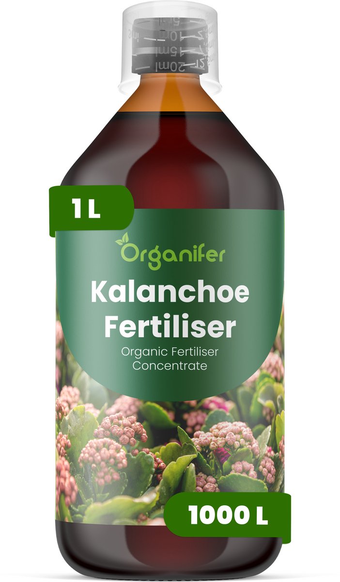 Vloeibare Meststof Voor Kalanchoe 1 L Voor 1000 L - Npk 2-1-8 - Compacte Groei - Langdurige Bloei - Sterke Stelen - Wortelvitaliteit - Bladstevigheid - Kleurintensiteit - Bloemkwaliteit - Vetplanten - Organifer
