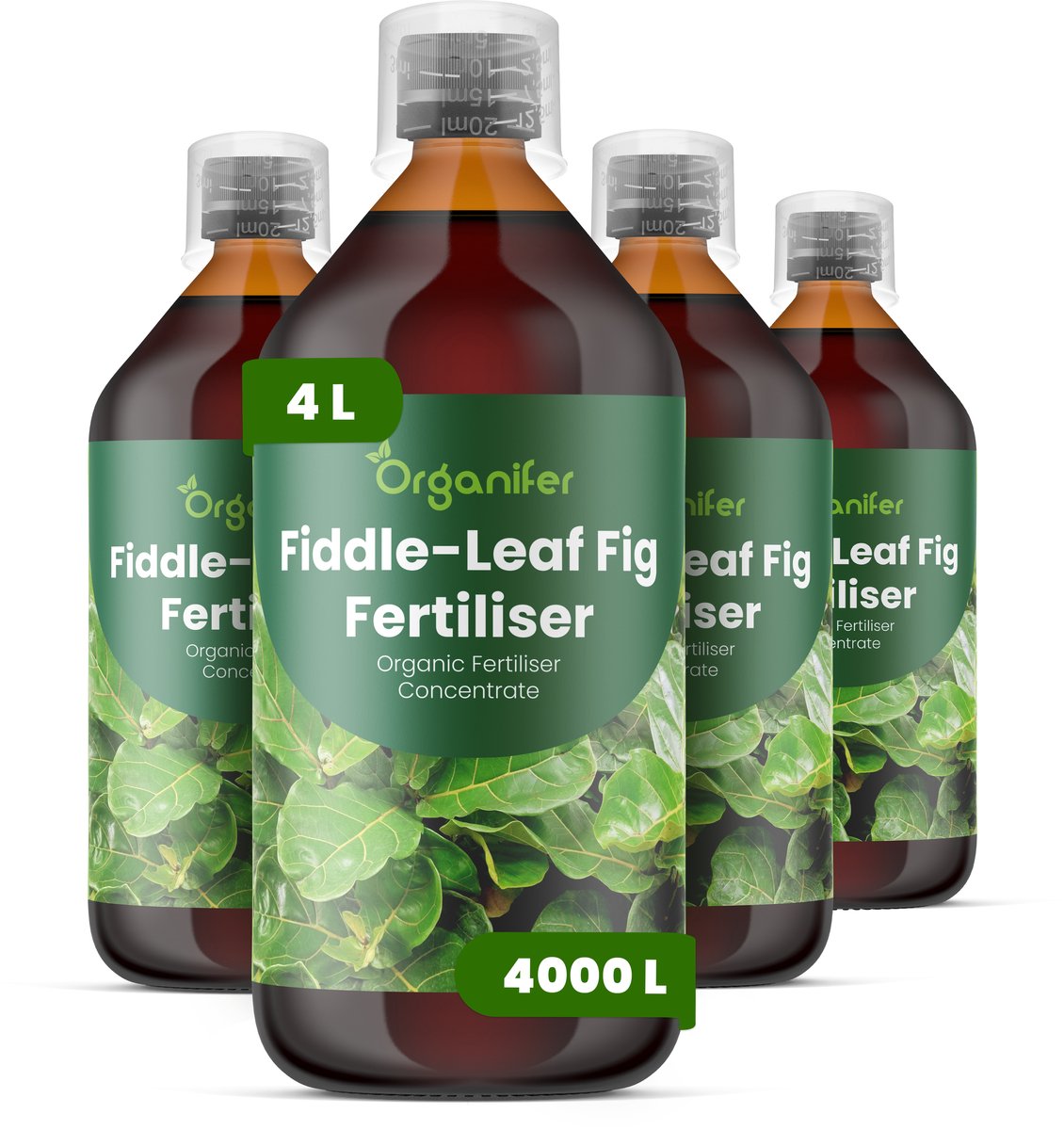 Vloeibare Meststof Voor Vioolbladplant - 4X1 L Voor 4000 L - Npk 3-4-3 - Grote Glanzende Bladeren - Sterk Wortelstelsel - Bladkleur - Sterke Vertakking - Bladval Verminderen - Geschikt Voor Jonge Decoratieve Planten - Organifer