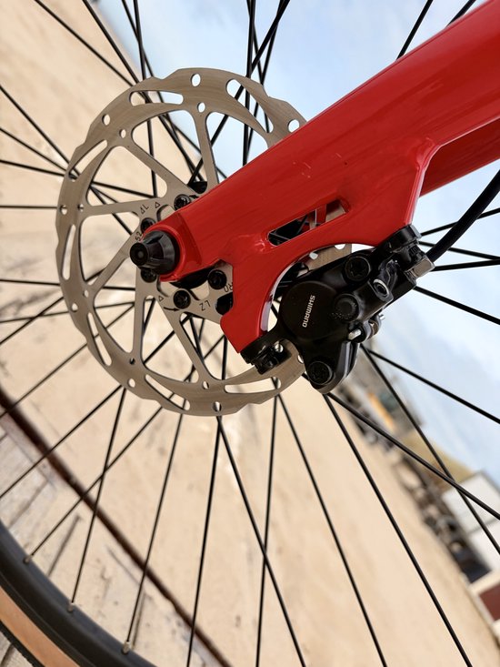 Premium e-bike met riemaandrijving en frame maat 53 cm van Merkloos — afbeelding 3