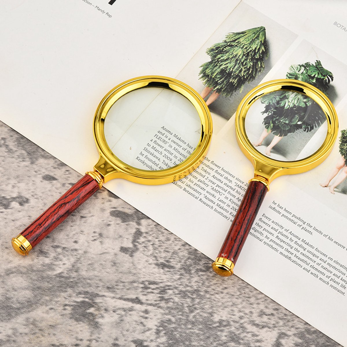 5x HD Handloep — Ideaal om te lezen (voor kinderen en ouderen) — 80 mm diameter