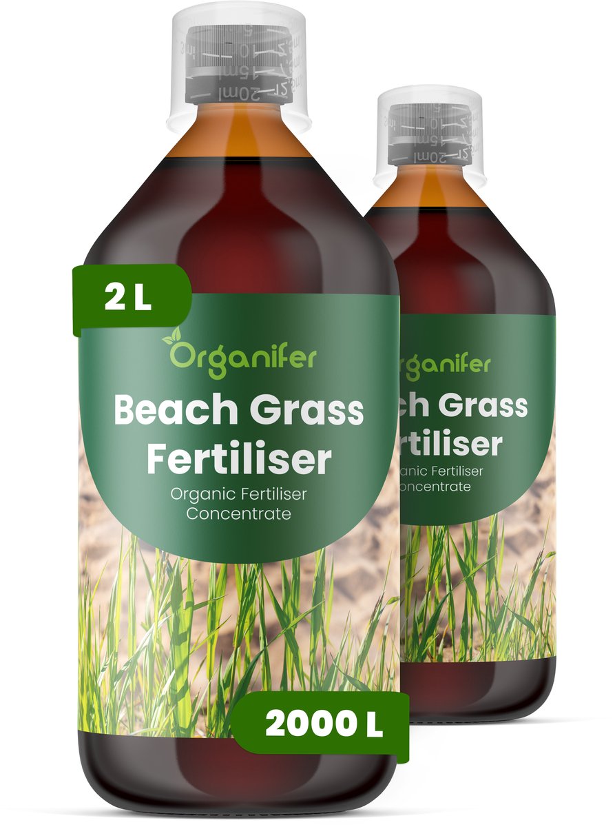Vloeibare Meststof Voor Strandgras 2X1 L Voor 2000 L - Npk 2-1-8 - Vloeibare Meststof Voor Sterk Gras - Gezonde Wortels – Bevordert Vitaliteit - Verbeterde Bodemleven - Diepe Wortels - Organifer