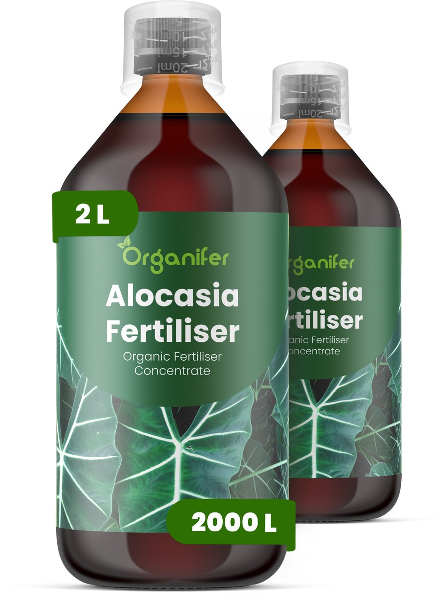 Vloeibare Meststof Voor Alocasia - 2X1 L Voor 2000 L - Npk 2-1-8 - Voor Тropische Bladplanten - Rechtopstaande Groei - Krachtige Wortelgroei - Weinig Licht - Droogtebestendig Waterregulatie - Organifer