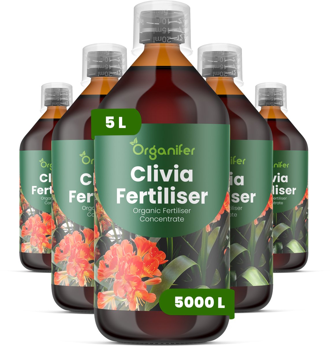 Vloeibare Meststof Voor Clivia 5X1 L Voor 5000 L - Npk 3-4-3 - Krachtige Groei - Sterke Bladontwikkeling - Rijke Bloei - Sterke Wortelstructuur - Bolstructuur - Verhoogde Weerbaarheid - Organifer