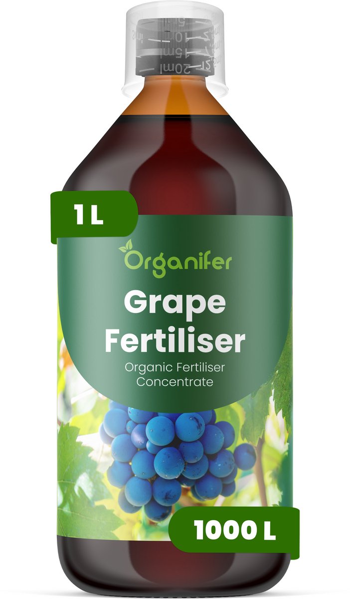 Vloeibare Meststof Voor Druiven 1 L Voor 1000 L - Npk 2-1-8 - Krachtige Rankgroei - Droogtetolerantie - Schilsterkte - Bevordert Consistente - Gezonde Groei Gedurende Lange Groeiseizoenen - Geschikt Voor Wijndruiven En Tafeldruiven - Organifer