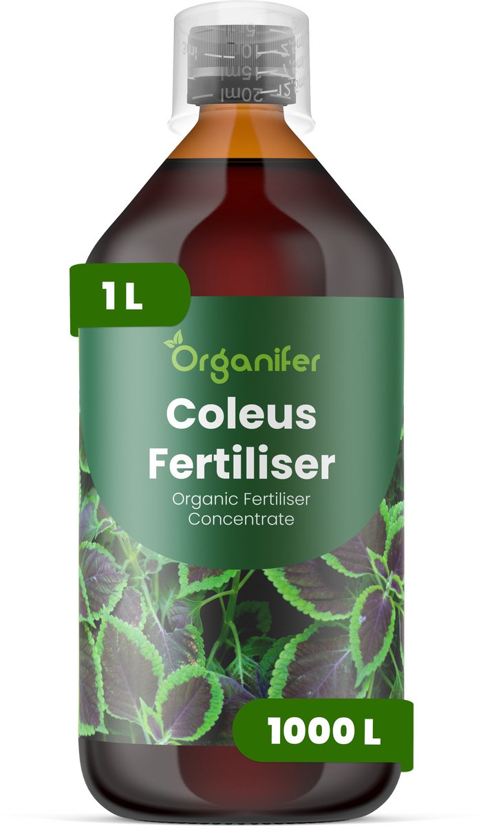 Vloeibare Meststof Voor Coleus 1 L Voor 1000 L - Npk 3-4-3 - Krachtige Groei - Bladkleurintensiteit - Sterke Wortels - Weerbaarheid - Bladontwikkeling - Bladvernieuwin - Weelderige Planten - Organifer