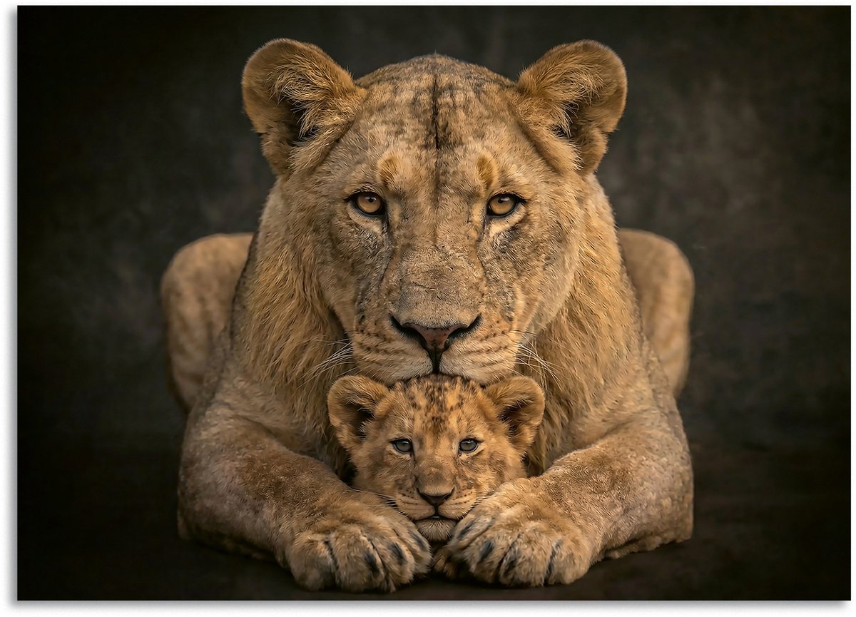 Schilderij Woonkamer - Modern Canvas Kunstwerk - 100 x 75 cm - Leeuwin met Cub Verbonden in Kracht No6 Kleur