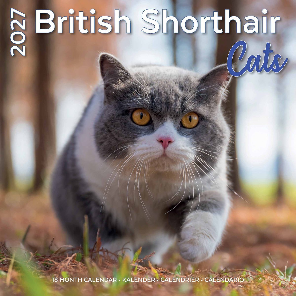 Brits Korthaar Kalender 2027
