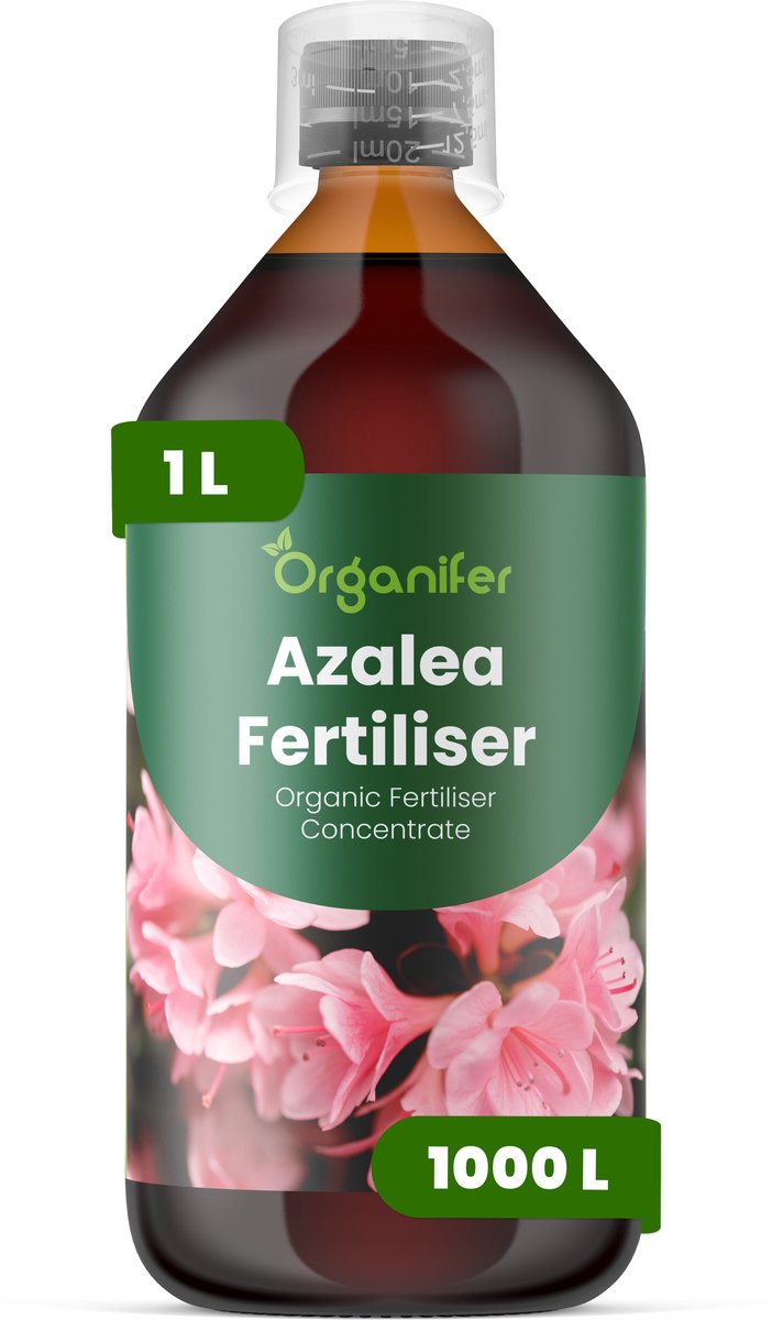 Vloeibare Meststof Voor Azalea 1 L Voor 1000 L - Npk 3-4-3 - Rijke Bloei - Levendige Bloemen - Sterk Wortelstelsel - Zure Substraten - Knopvorming - Seizoensbloei - Stressbestendig - Rhododendron - Groenblijvend - Bladverliezend - Organifer
