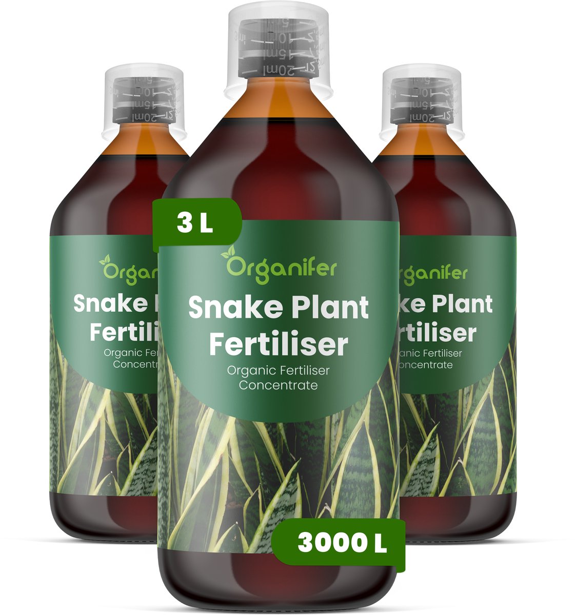 Vloeibare Meststof Voor Sansevieria 3X1 L Voor 3000 L - Npk 2-1-8 - Opgaande Bladgroei - Sterke Bladkleur - Bladstevigheid - Gelijkmatige Groei - Sterk Wortelstelsel - Zachte Nutriëntenopname - Herstel Na Verpotten - Organifer