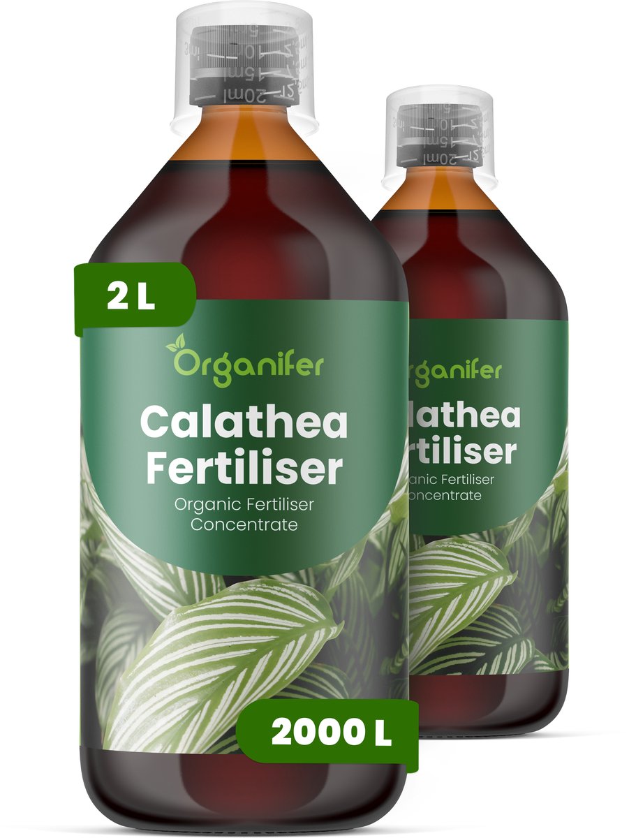 Vloeibare Meststof Voor Calathea 2X1 L Voor 2000 L - Npk 2-1-8 - Krachtige Groei - Patroonhelderheid - Bladlevendigheid - Sterk Wortelstelsel -Compacte Groei - Bladontplooiing - Plantsymmetrie - Gezonde Scheutvorming - Organifer
