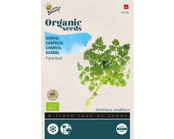 Buzzy® Organic Kervel (BIO) - Delicaat kruid met een anijsachtige smaak