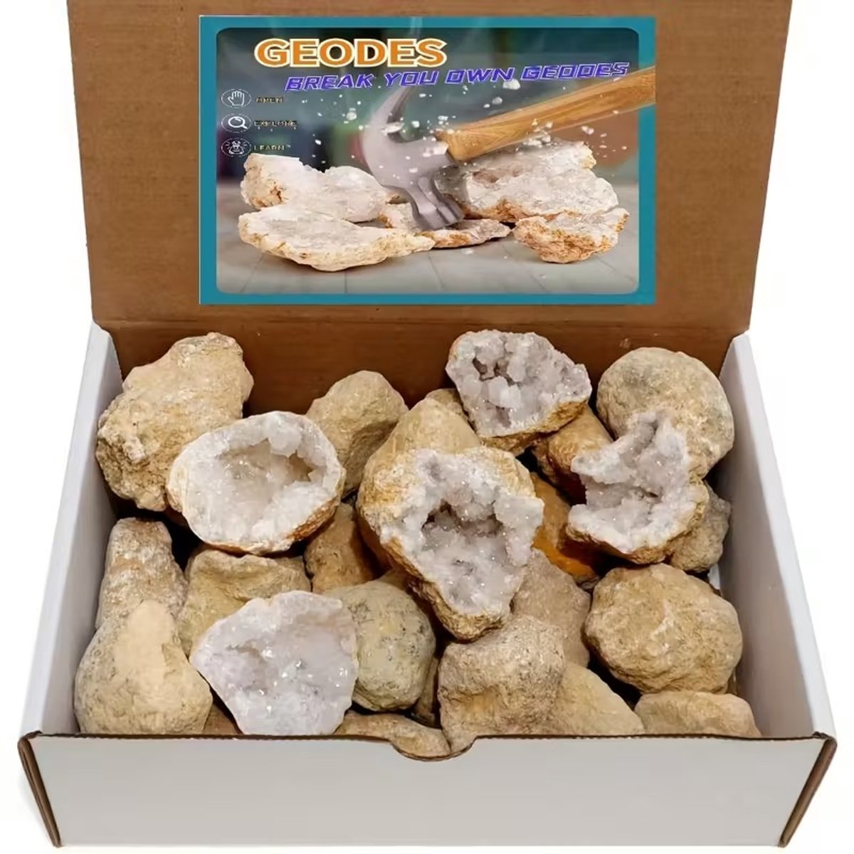 Eigen Geodes open breken - Echte Kristallen van Binnen - Experimenteerdoos met 10 Geode stenen - Verassende kristallen