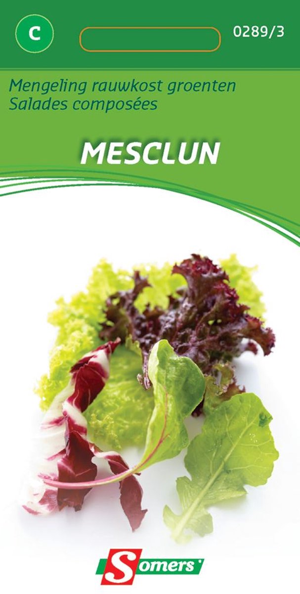 Somers zaden - Mengeling Rauwkost Groenten Mesclun