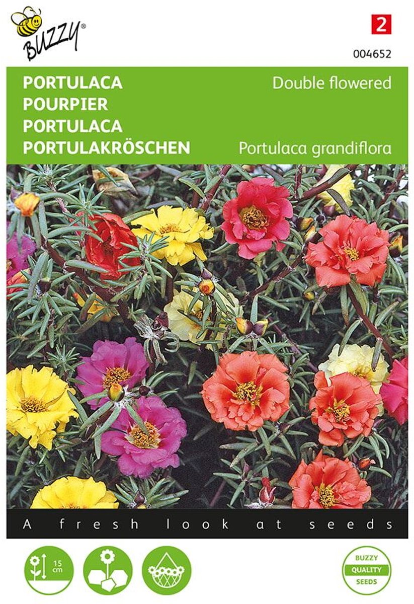 Portulaca grandiflora (dubbelbloemig gemengd)