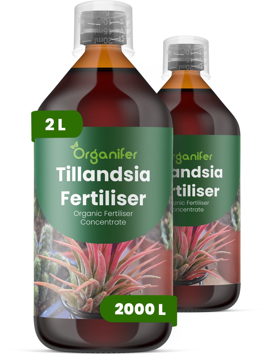 Vloeibare Meststof Voor Tillandsia 2X1 L Voor 2000 L - Npk 2-1-8 - Versterkt De Bladstructuur En Stevigheid - Bevordert Compacte - Evenwichtige Groei - Geschikt Voor Grondloze En Opgehangen Planten - Ondersteunt Langdurige Vitaliteit - Organifer