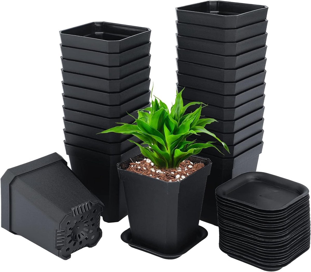 24 Stuks 7 cm Kweekpotten met Coaster - Dikke Plastic Vierkante Potten voor Zaden en Vetplanten, Zwart