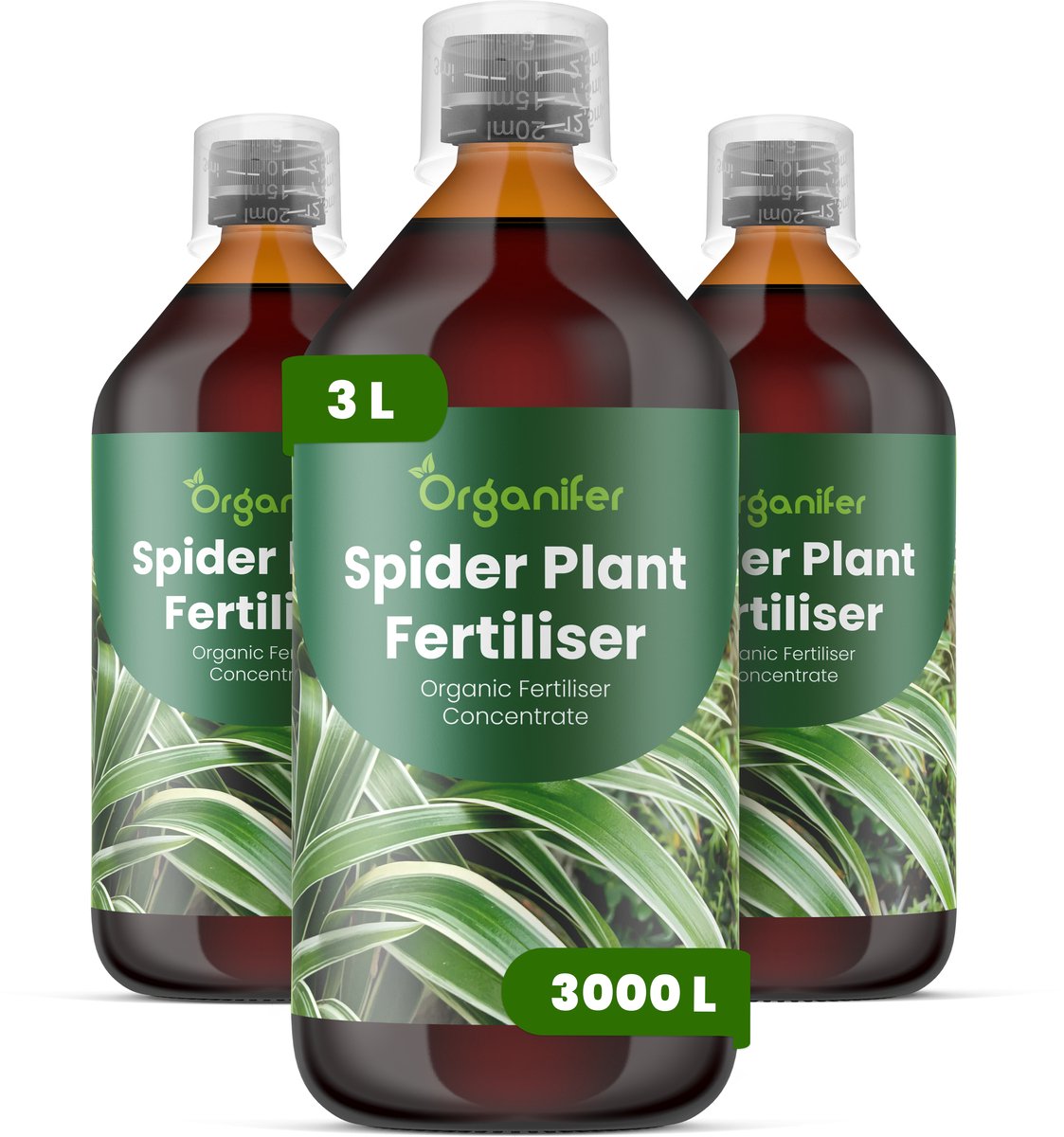 Vloeibare Meststof Voor Graslelie 3X1 L Voor 3000 L - Npk 2-1-8 - Ondersteunt Gezonde Groei - Versterkt Bonttekening En Bladkleur - Ondersteunt Plantvitaliteit En Visuele Kwaliteit - Ondersteunt De Vorming Van Gezonde Uitlopers - Organifer